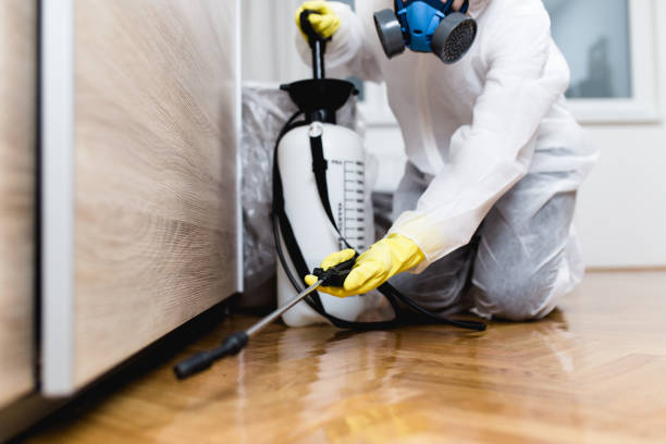 Best Pest Prevention Services  in Louisville, TN