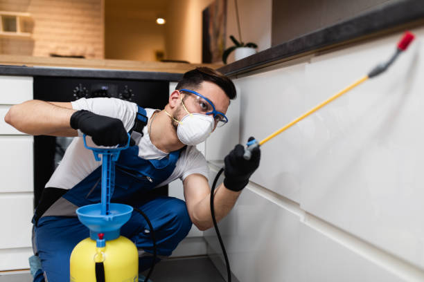 Best Rat Extermination Near Me  in Louisville, TN