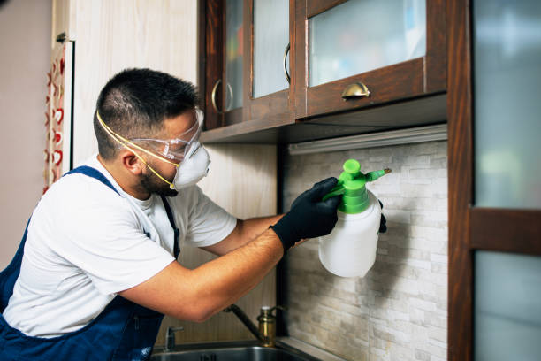Best Affordable Pest Control Services  in Louisville, TN