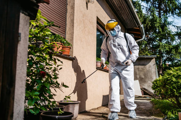 Bird Control in Louisville, TN