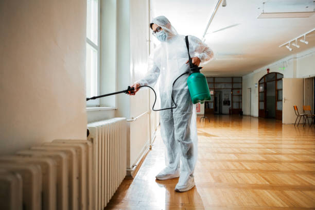 Best Affordable Pest Control Services  in Louisville, TN