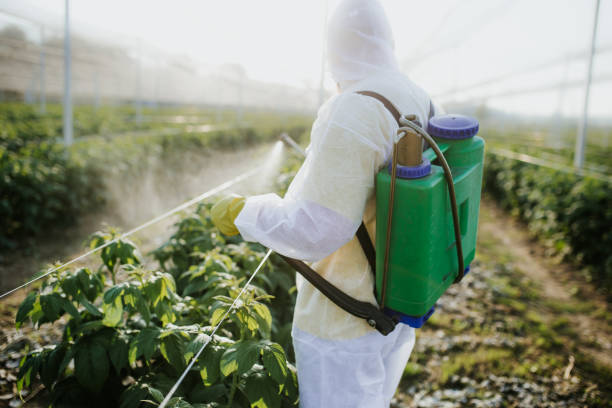 Best Mosquito Control Services  in Louisville, TN